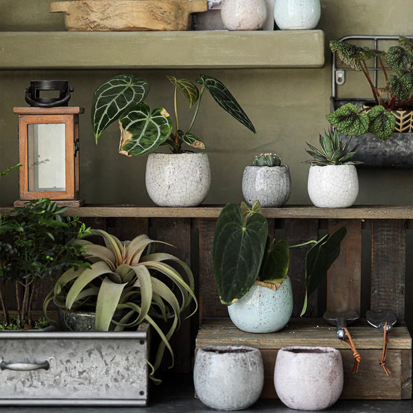 Crackle Glaze Ceramic Pot Set