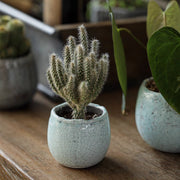 Crackle Glaze Ceramic Pot Set