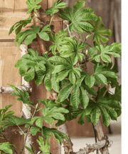 Fanned Foliage Artificial Branch Stem
