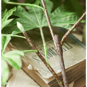 Fanned Foliage Artificial Branch Stem