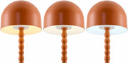 Terracotta Dome Metal Table Lamp