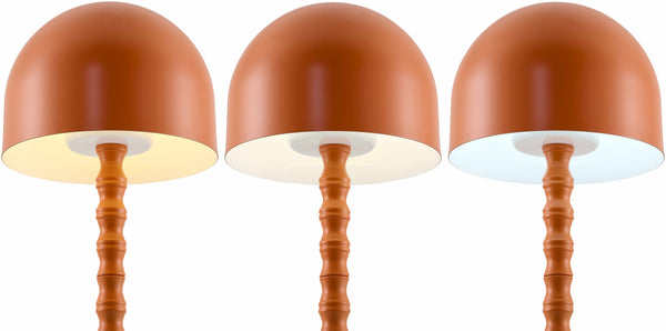 Terracotta Dome Metal Table Lamp