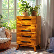 Mid-Century Solid Wood Tall Dresser