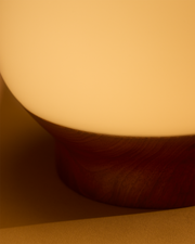 Frosted Globe Wood-Base Table Lamp