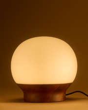 Frosted Globe Wood-Base Table Lamp