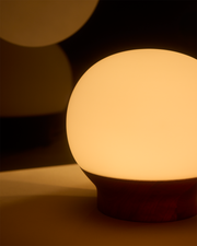 Frosted Globe Wood-Base Table Lamp