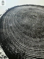 Hand-Pressed Ash Tree Ring Print hung in a curated gallery wall arrangement