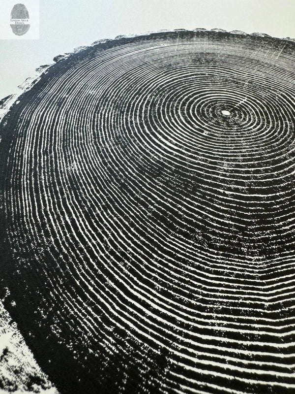 Hand-Pressed Ash Tree Ring Print hung in a curated gallery wall arrangement