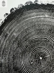 Hand-Pressed Ash Tree Ring Print — alternate view or variant option