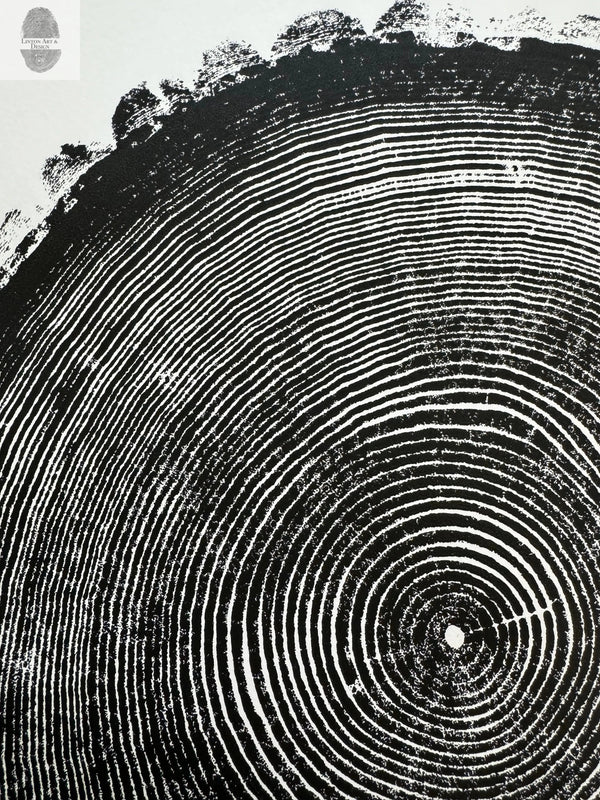 Hand-Pressed Ash Tree Ring Print — alternate view or variant option