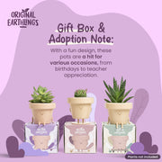 Character Figure Indoor Plant Pot