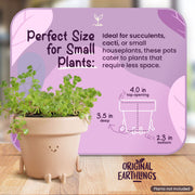 Character Figure Indoor Plant Pot