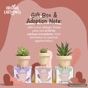Character Figure Standing Planter Pot