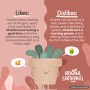 Character Figure Standing Planter Pot
