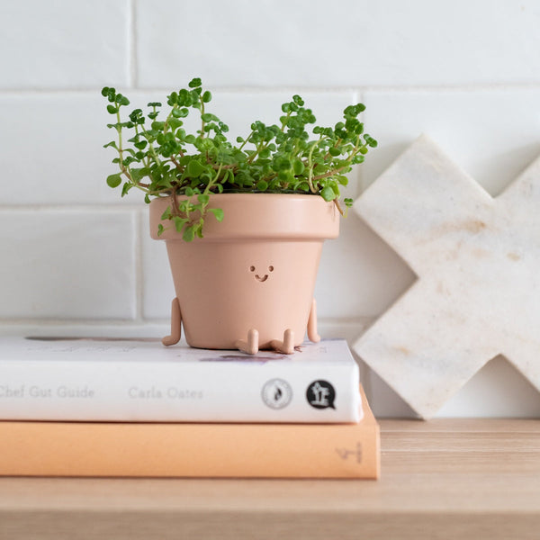 Character Figure Indoor Plant Pot