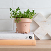 Character Figure Indoor Plant Pot