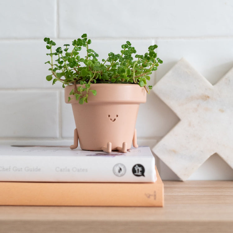 Character Figure Indoor Plant Pot