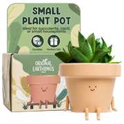 Character Sitting Indoor Plant Pot
