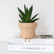 Character Sitting Indoor Plant Pot
