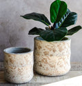 Splatter-Glaze Ceramic Planter Set