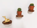 Octagon Floating Wood Display Shelf