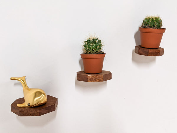 Octagon Floating Wood Display Shelf