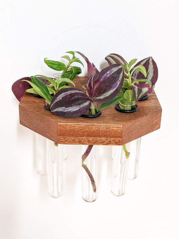 Octagon Wood Propagation Station Shelf
