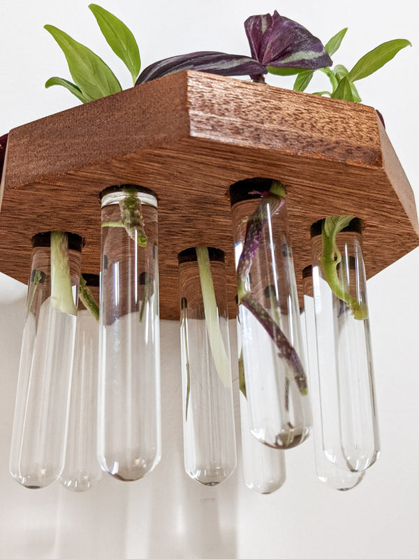 Octagon Wood Propagation Station Shelf