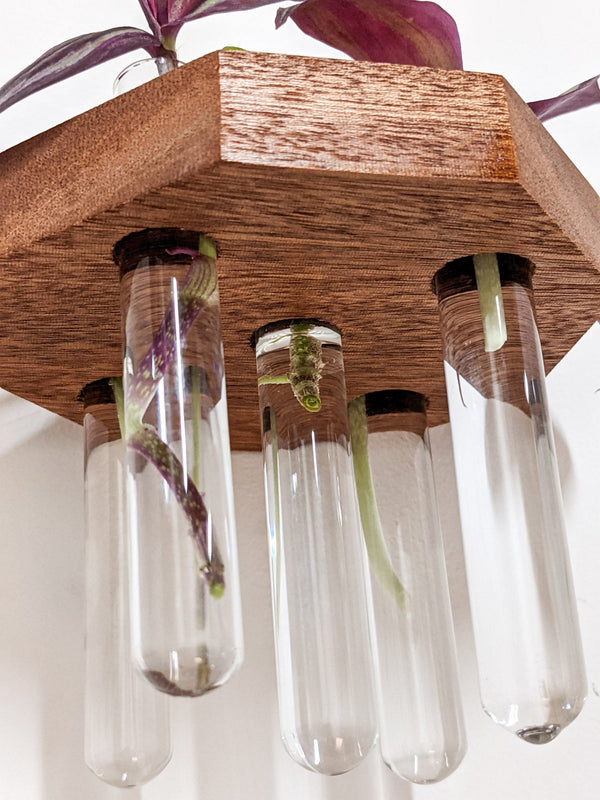 Octagon Wood Propagation Station Shelf