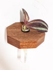 Octagon Wood Propagation Station Shelf