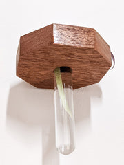 Octagon Wood Propagation Station Shelf