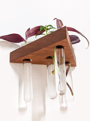 Triangle Wood Propagation Station Shelf