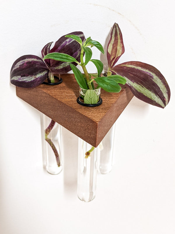 Triangle Wood Propagation Station Shelf