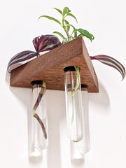 Triangle Wood Propagation Station Shelf