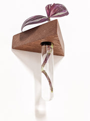 Triangle Wood Propagation Station Shelf