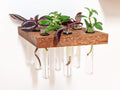 Rhombus Wood Propagation Station Shelf