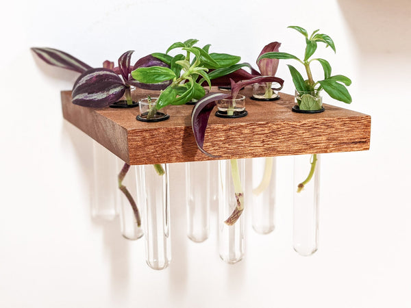 Rhombus Wood Propagation Station Shelf