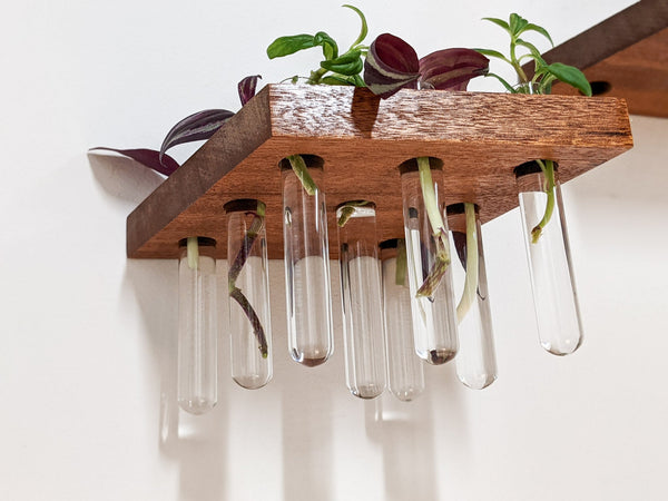 Rhombus Wood Propagation Station Shelf