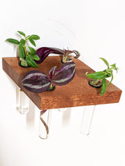 Rhombus Wood Propagation Station Shelf