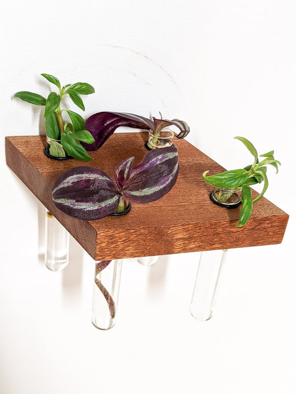 Rhombus Wood Propagation Station Shelf