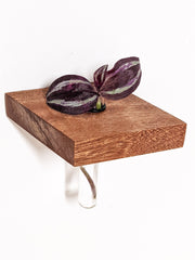 Rhombus Wood Propagation Station Shelf
