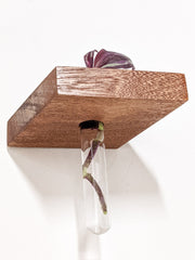 Rhombus Wood Propagation Station Shelf