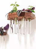 Octagon Wood Propagation Station Shelf