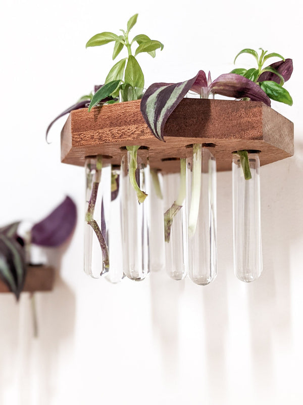 Octagon Wood Propagation Station Shelf