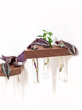 Triangle Wood Propagation Station Shelf