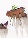 Rhombus Wood Propagation Station Shelf