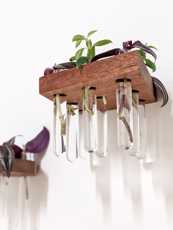 Rhombus Wood Propagation Station Shelf