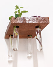 Rhombus Wood Propagation Station Shelf