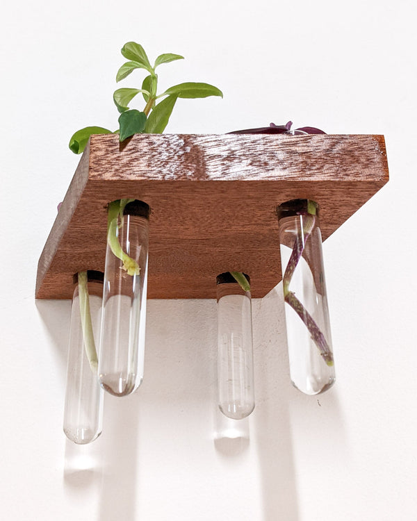 Rhombus Wood Propagation Station Shelf