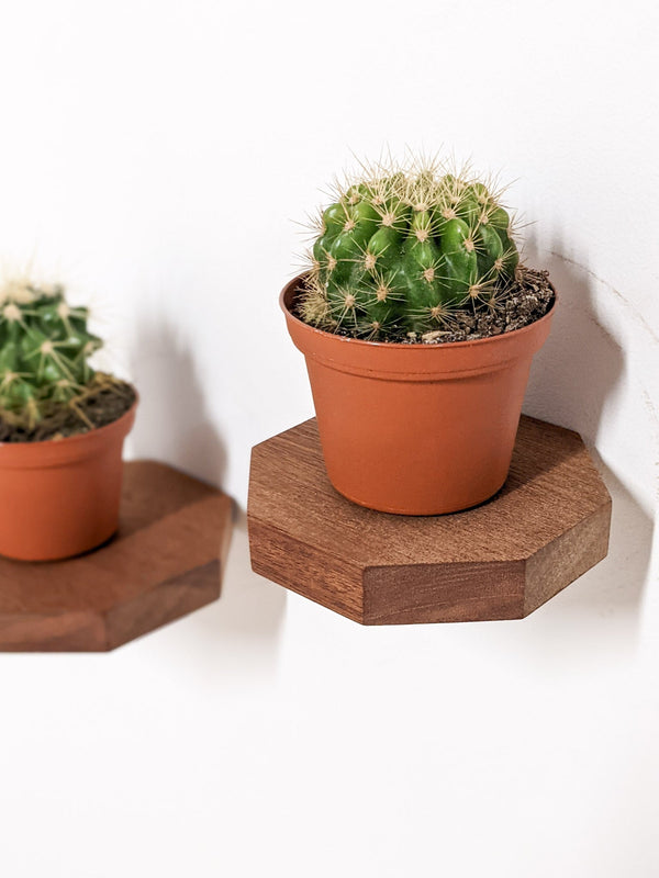 Octagon Floating Wood Display Shelf